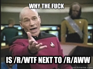 why the fuck is /r/wtf next to /r/aww  Annoyed Picard
