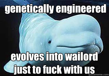 genetically engineered evolves into wailord 
just to fuck with us - genetically engineered evolves into wailord 
just to fuck with us  Misbehavin Pocket Whale