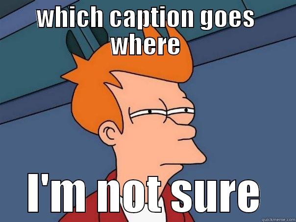 WHICH CAPTION GOES WHERE I'M NOT SURE Futurama Fry