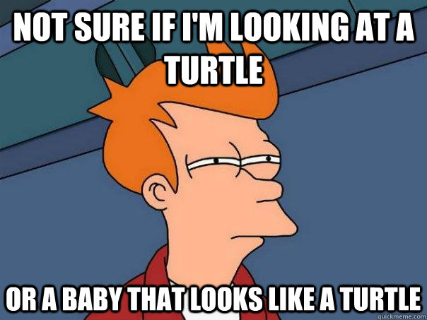 Not sure if I'm looking at a turtle or a baby that looks like a turtle  FuturamaFry