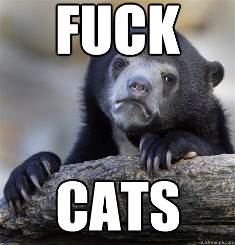 fuck Cats - fuck Cats  Confession Bear