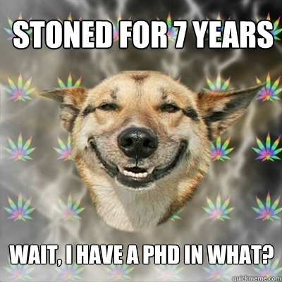 stoned for 7 years wait, i have a phd in what?  Stoner Dog