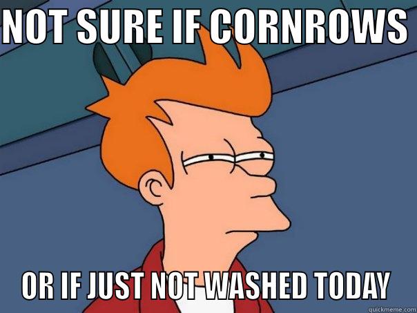 NOT SURE IF CORNROWS  OR IF JUST NOT WASHED TODAY Futurama Fry
