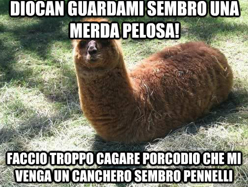 diocan guardami sembro una merda pelosa! faccio troppo cagare porcodio che mi venga un canchero sembro pennelli  Alpacapillar