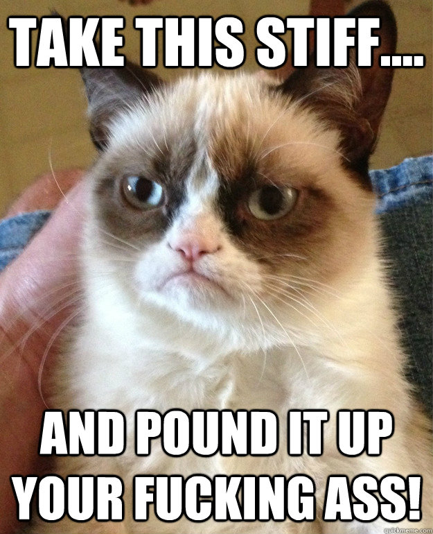 TAKE THIS STIFF.... AND POUND IT UP YOUR fucking ASS! - TAKE THIS STIFF.... AND POUND IT UP YOUR fucking ASS!  Misc
