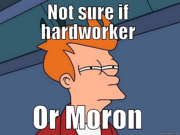 NOT SURE IF HARDWORKER OR MORON Futurama Fry