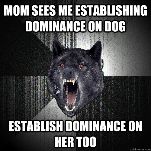 Mom sees me establishing dominance on dog Establish dominance on her too  Insanity Wolf