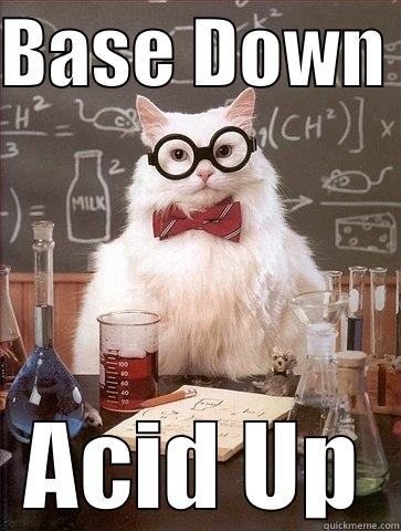 BASE DOWN  ACID UP Chemistry Cat
