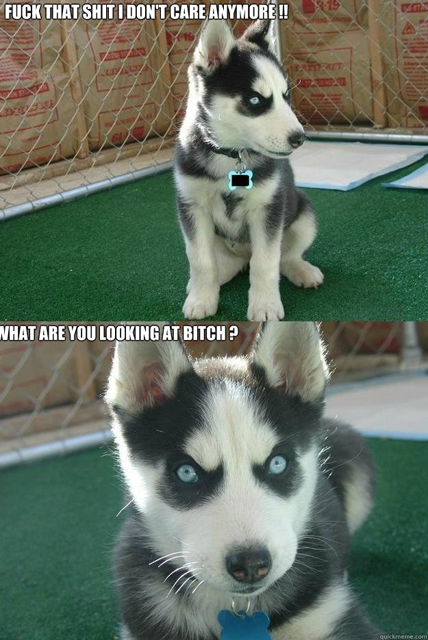Fuck that shit i don't care anymore !! what are you looking at bitch ?  Insanity puppy