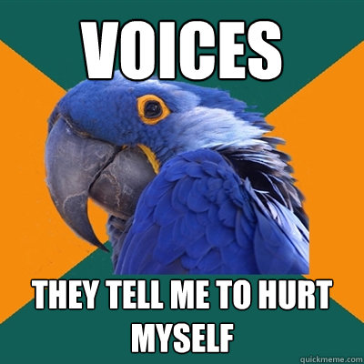 voices they tell me to hurt myself  Paranoid Parrot