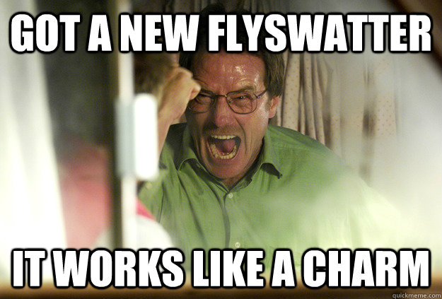 got a new flyswatter it works like a charm - got a new flyswatter it works like a charm  Death to Flies