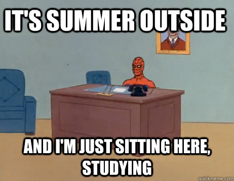 IT'S SUMMER OUTSIDE AND I'M JUST SITTING HERE, STUDYING - IT'S SUMMER OUTSIDE AND I'M JUST SITTING HERE, STUDYING  Misc