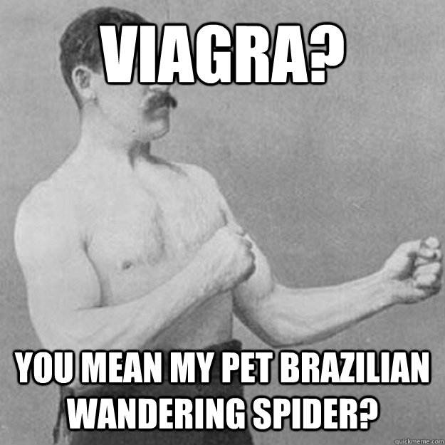 Viagra? YOU MEAN my pet Brazilian wandering spider? - Viagra? YOU MEAN my pet Brazilian wandering spider?  Misc