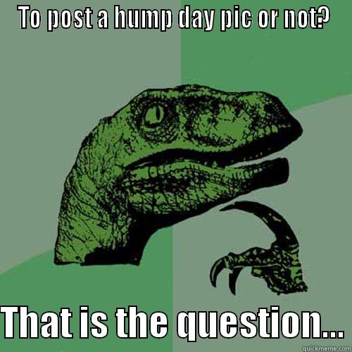 TO POST A HUMP DAY PIC OR NOT?  THAT IS THE QUESTION... Philosoraptor