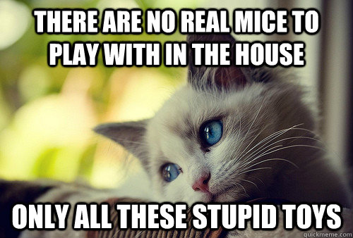 There are no real mice to play with in the house only all these stupid toys  First World Problems Cat