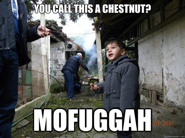 you call this a chestnut? mofuggah  