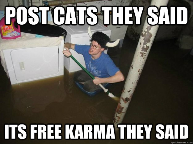 Post cats they said Its free Karma they said  Laundry Room Viking