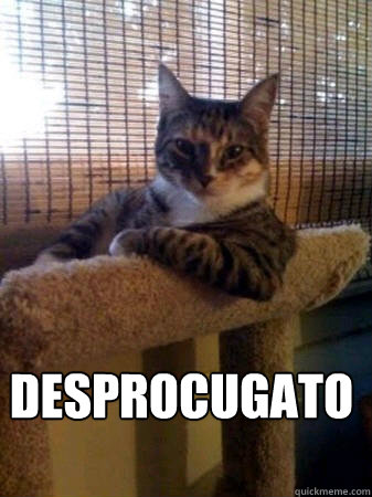  desprocugato  The Most Interesting Cat in the World
