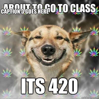 about to go to class its 420 Caption 3 goes here  Stoner Dog
