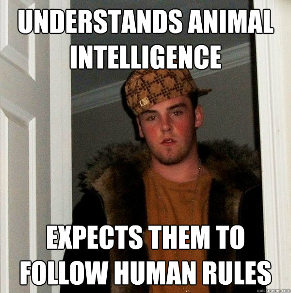 Understands Animal Intelligence Expects them to follow human rules  Scumbag Steve