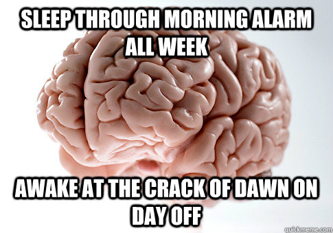 sleep through morning alarm all week awake at the crack of dawn on day off  Scumbag Brain