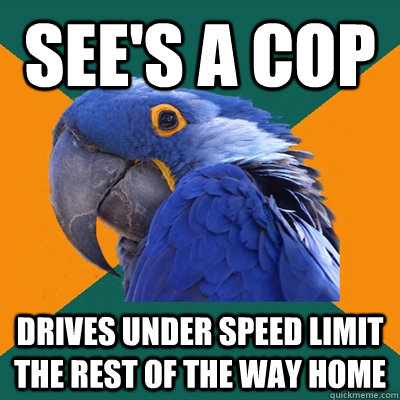 see's a cop drives under speed limit the rest of the way home  Paranoid Parrot