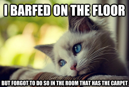 I barfed on the floor   but forgot to do so in the room that has the carpet    First World Problems Cat
