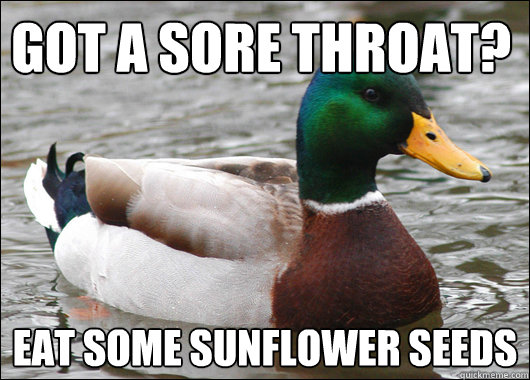 Got a sore throat? eat some sunflower seeds  Actual Advice Mallard