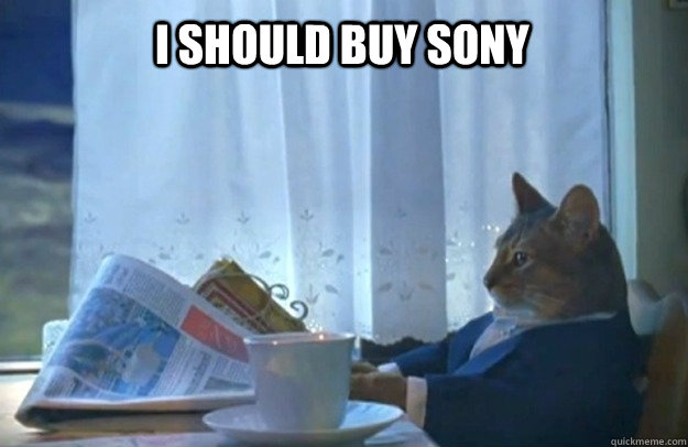  I should buy Sony -  I should buy Sony  Sophisticated Cat