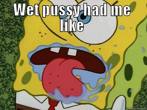 you'll understand... - WET PUSSY HAD ME LIKE  Misc