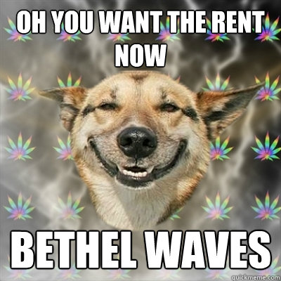 Oh You want the rent now
 Bethel Waves
 - Oh You want the rent now
 Bethel Waves
  Stoner Dog