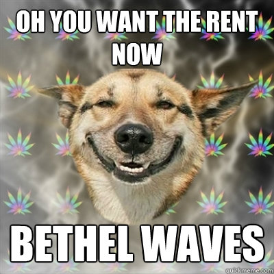 Oh You want the rent now
 Bethel Waves
  Stoner Dog