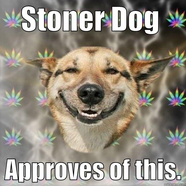 STONER DOG   APPROVES OF THIS. Misc