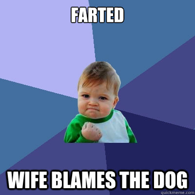 Farted Wife Blames the Dog  Success Kid