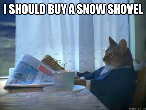 I should buy a snow shovel   morning realization newspaper cat meme