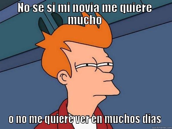NO SE SI MI NOVIA ME QUIERE MUCHO O NO ME QUIERE VER EN MUCHOS DIAS Futurama Fry