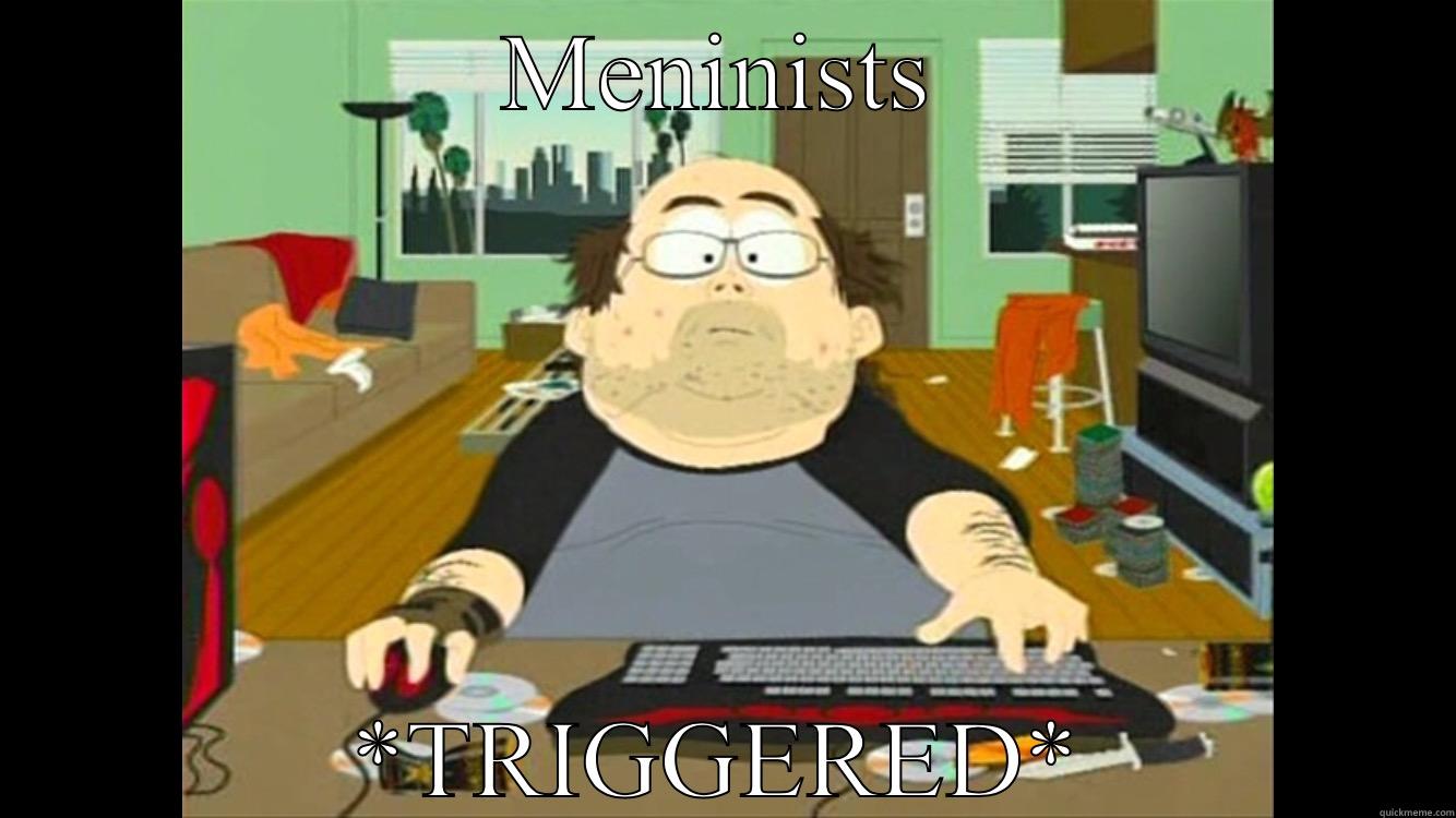 Keyboard Warrior - MENINISTS *TRIGGERED* Misc
