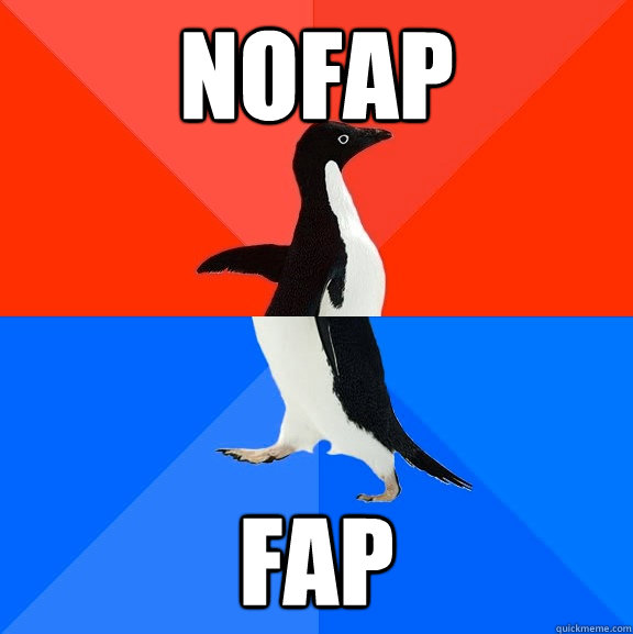 Nofap fap  Socially Awesome Awkward Penguin