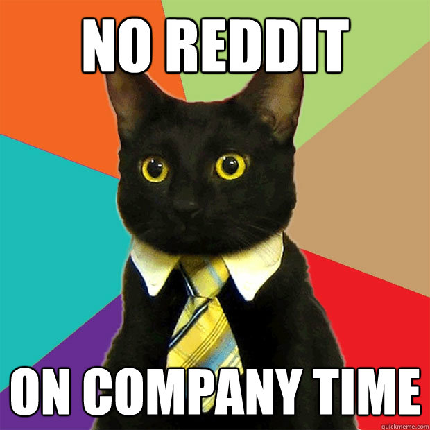 No reddit on company time  Business Cat