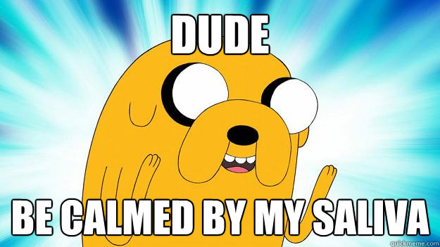 dude be calmed by my saliva - dude be calmed by my saliva  Jake The Dog