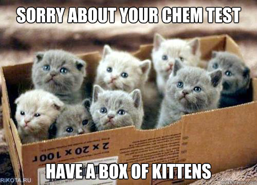 Sorry about your chem test have a box of kittens  Box of Kittens