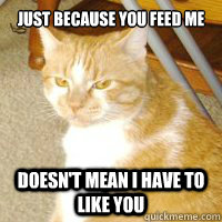 Just because you feed me Doesn't mean I have to like you  