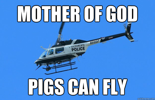 mother of god pigs can fly  When Pigs Fly