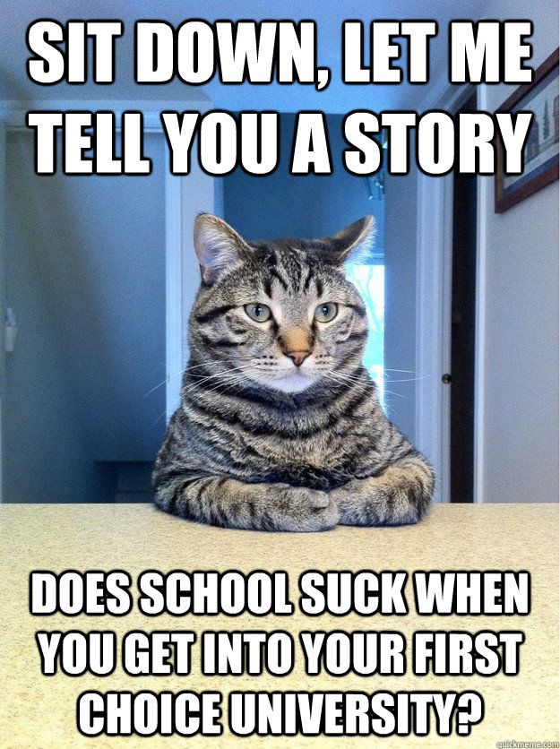 Sit down, let me tell you a story does school suck when you get into your first choice university?   Chris Hansen Cat