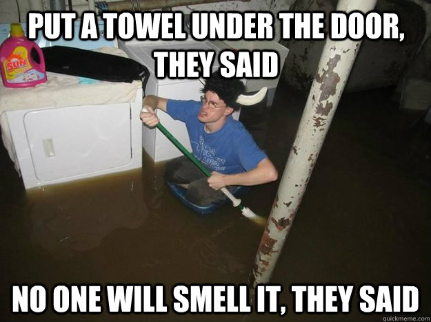 Put a towel under the door, they said No one will smell it, they said  Do the laundry they said