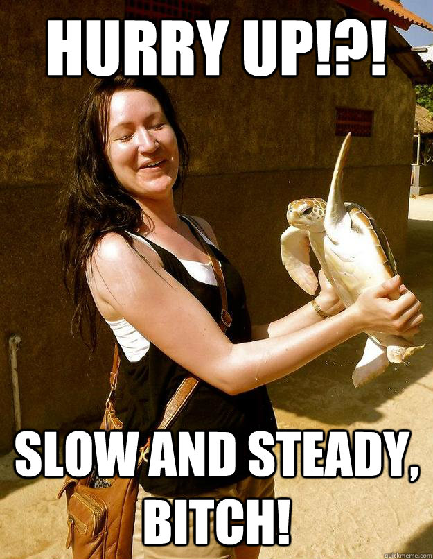 Hurry Up!?!  slow and steady, bitch!  Domestic Violence Turtle