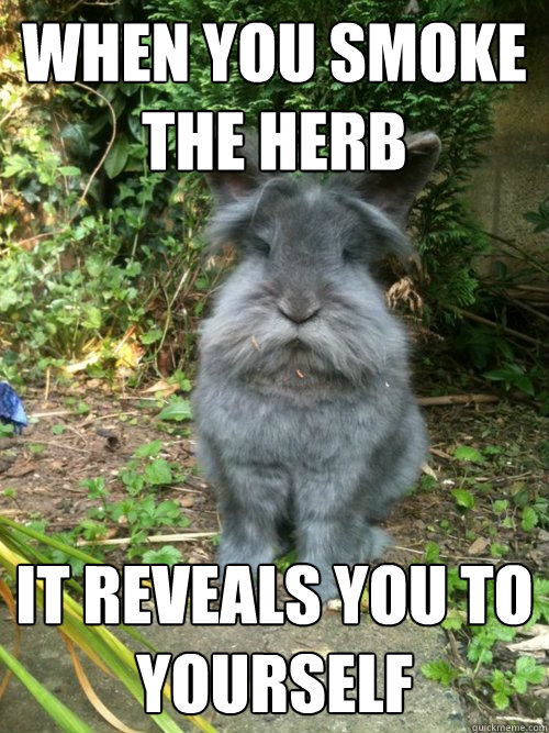 When you smoke the herb it reveals you to yourself - When you smoke the herb it reveals you to yourself  Marley Rabbit