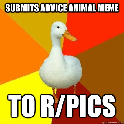 submits advice animal meme to r/pics  Tech Impaired Duck