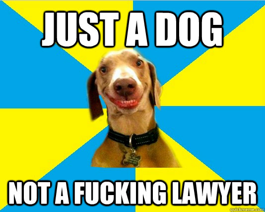 Just a dog Not a fucking lawyer  