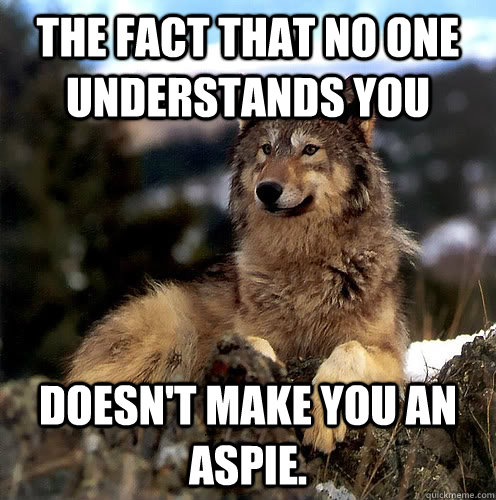 The fact that no one understands you Doesn't make you an aspie.  